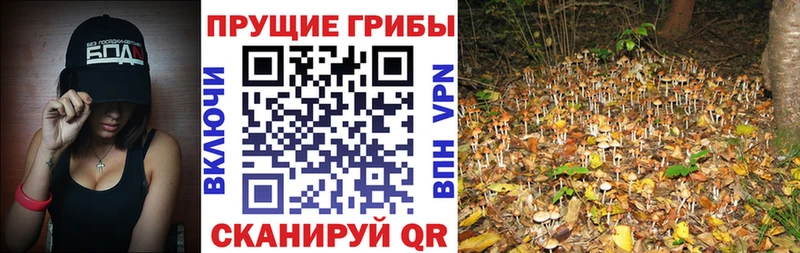 Псилоцибиновые грибы Magic Shrooms  мега зеркало  Саров 